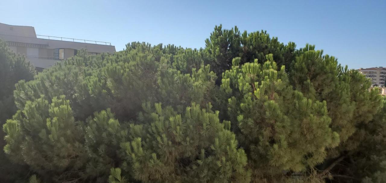 Frejus Plage La Miougrano, T2-3 49M2, 5 Personn Екстериор снимка